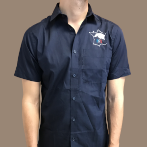 Chemise bleue