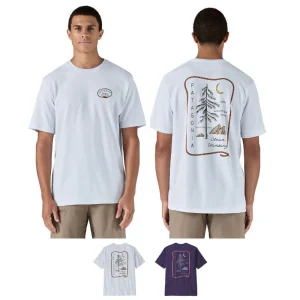 T-shirt Clean Climb Roots Responsibili-Tee® homme recyclé - Patagonia
